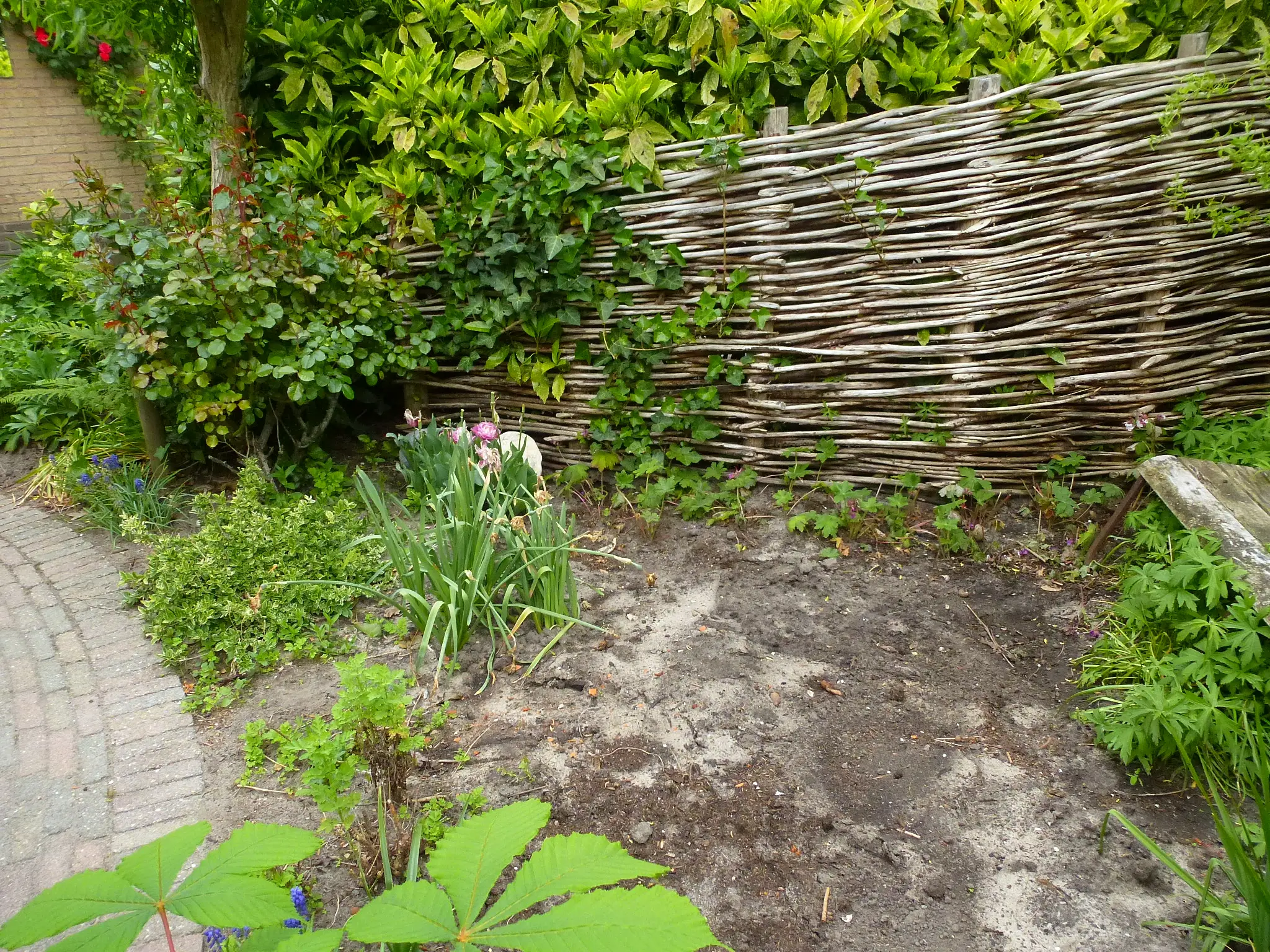 Waarom komt je tuin niet tot bloei