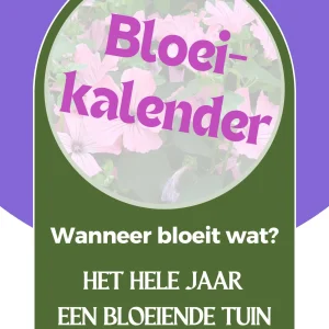 (E-book) - Het Hele Jaar Een Bloeiende Tuin