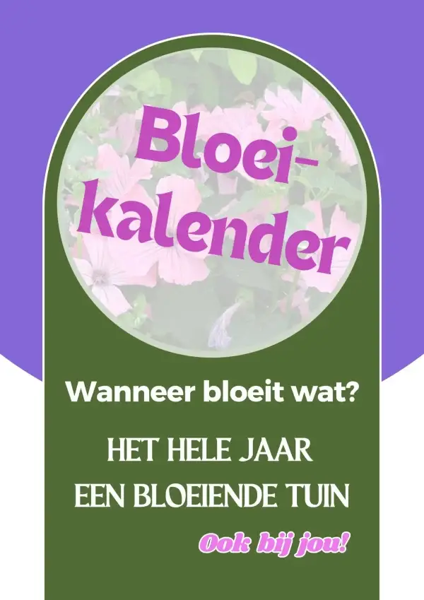 (E-book) - Het Hele Jaar Een Bloeiende Tuin
